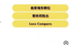 厦门爆料打卡事件最新,揭秘网红打卡地背后的真相与争议